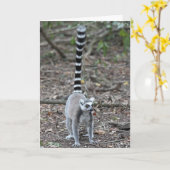 Carte Photo Cute Ring-Tailed Lemur (Fleur jaune)