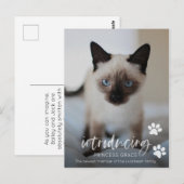 Carte photo d'adoption de chats ou de chats, prése (Devant / Derrière)