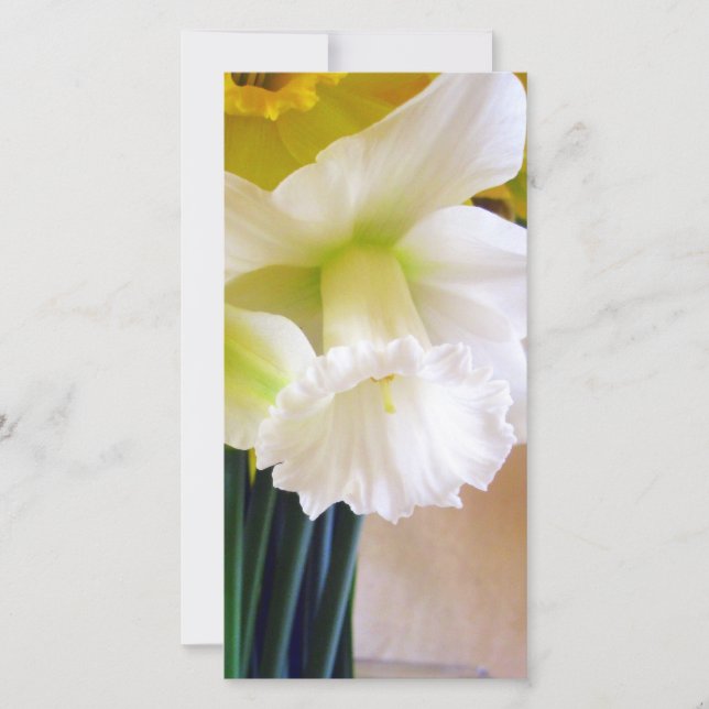 Carte photo Daffodique blanche (Devant)