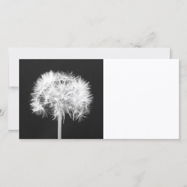 Carte photo Dandelion (Devant)
