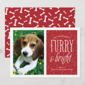 Carte photo d'animal de compagnie Furry and Bright (Devant / Derrière)