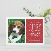 Carte photo d'animal de compagnie Furry and Bright (Debout devant)