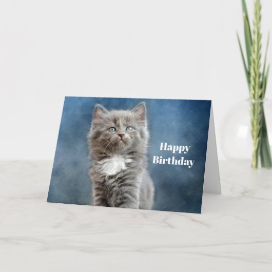 Carte Photo d'anniversaire Cute Grey and White Kitten (Devant)