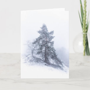Carte photo d'arbre couvert de neige