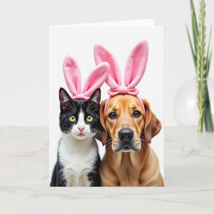 Carte photo de bandeaux pour animaux mignons