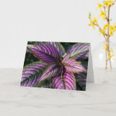 Carte photo de bénédiction d'anniversaire (Fleur jaune)