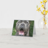 Carte Photo de Cane Corso Card (Fleur jaune)
