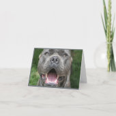 Carte Photo de Cane Corso Card (Devant)