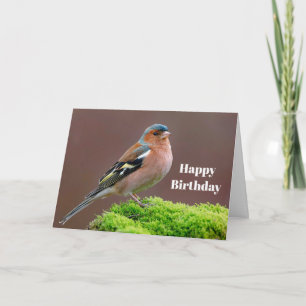 Carte Photo de Chaffinch Faune Anniversaire