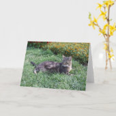 Carte Photo de chat Cute Tabby (Fleur jaune)