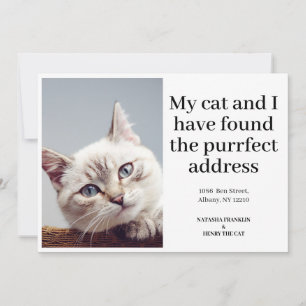Carte Photo de chat domestique Nouvelle adresse Nous avo