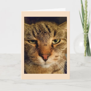 Carte Photo de chat personnalisée Miss You You