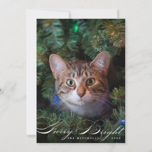 Carte photo de chat pour animaux de compagnie fure