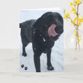 carte photo de chien (Fleur jaune)