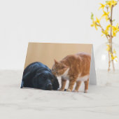 Carte photo de chien - Davy et ami (Fleur jaune)