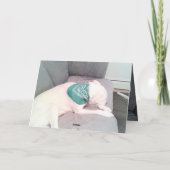 Carte Photo de Chien Paresseux Mignon Drôle de la Saint- (Dos)