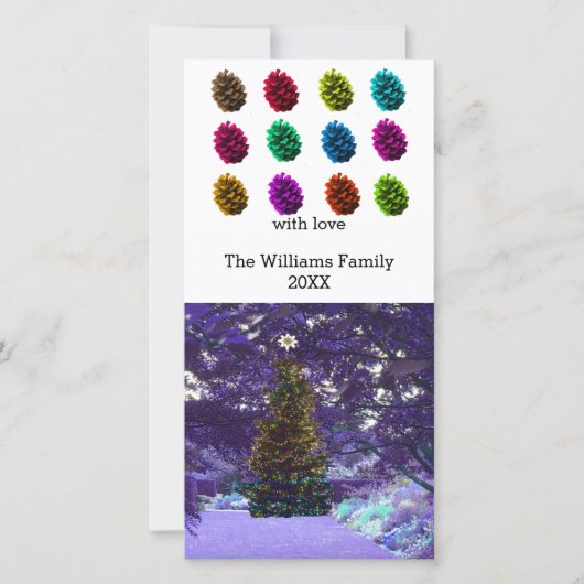 Carte photo de cônes de pin multicolores (Devant)