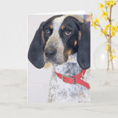 Carte Photo de Coonhound de Bluetick (Fleur jaune)