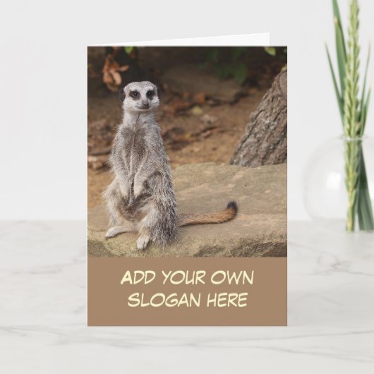 Carte Photo de Cute Meerkat pour vous Customiser (Devant)
