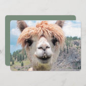 Carte Photo de Cute Smiling Alpaca (Devant / Derrière)