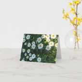 Carte Photo de Daisy Bush (Fleur jaune)