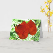 Carte Photo de fleur de deux pavots orientaux (Fleur jaune)