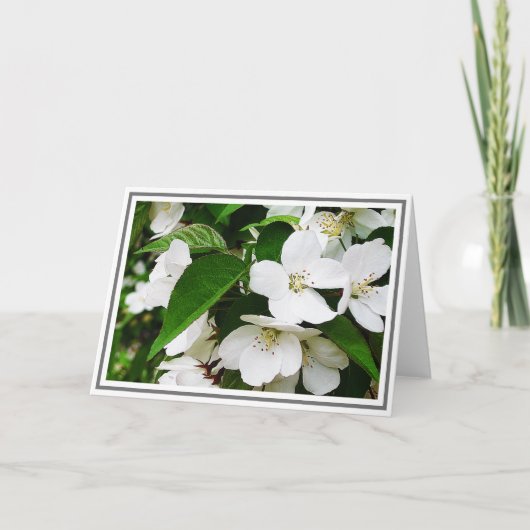 Carte Photo de Fleurs de cerisier blanc au feuillage ver (Devant)
