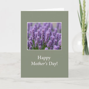 Carte photo de fleurs de lavande
