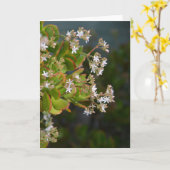 Carte photo de fleurs Jade (Fleur jaune)