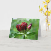Carte photo de fleurs rouges Gentian (Fleur jaune)