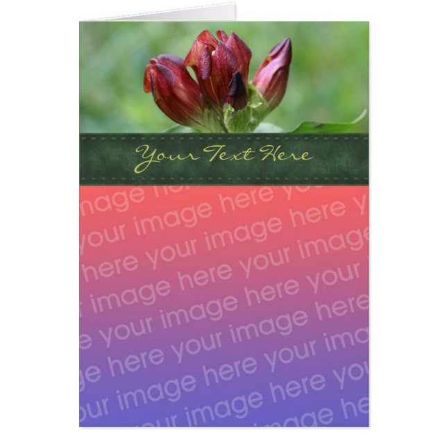 Carte photo de fleurs rouges Gentian (Devant)