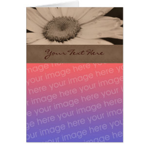 Carte photo de fleurs Sepia Daisy