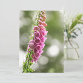 Carte Photo de Foxglove Nature (Debout devant)