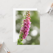 Carte Photo de Foxglove Nature (Devant/Arrière en situation)