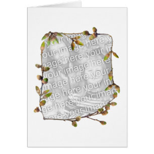 Carte photo de glands