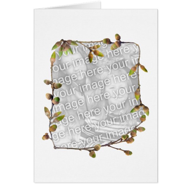 Carte photo de glands (Devant)