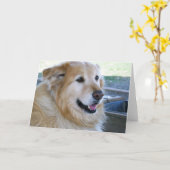 Carte Photo de golden retriever (Fleur jaune)