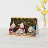 Carte photo de golden retriever de joyeux (Fleur jaune)