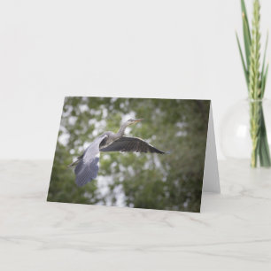 Carte Photo de Grey Heron Nature