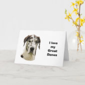 Carte photo de Halequin Great Dane (Fleur jaune)