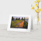 Carte photo de la corniche de Scott (Fleur jaune)