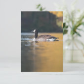 Carte Photo de la faune de l'oie (Debout devant)