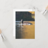 Carte Photo de la faune de l'oie (Devant/Arrière en situation)