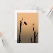 Carte Photo de la faune de Sea Eagle (Devant/Arrière en situation)