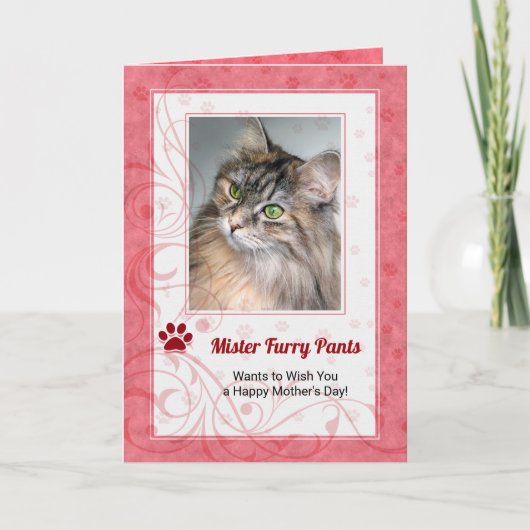 Carte Photo de la fête des mères du Rose de chat (Devant)