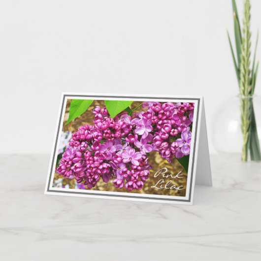 Carte Photo de la grappe de fleurs de Lilac rose (Devant)