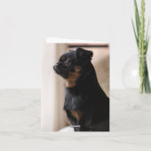 Carte photo de la journée Cute Gotcha customisé (Dos)