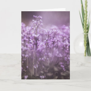 Carte Photo de la nature de la fleur de cacao