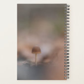 Carte photo de la nature des champignons (Dos)