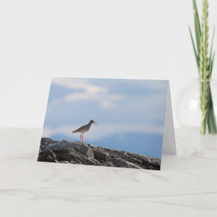 Carte Photo de la nature des oiseaux